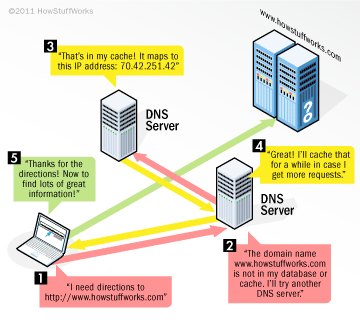 Find the IP Address of my Website, Server and Domain